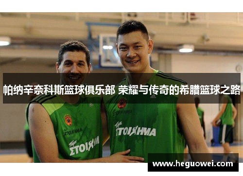 帕纳辛奈科斯篮球俱乐部 荣耀与传奇的希腊篮球之路